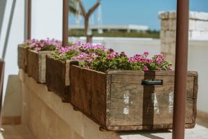 Zahrada ubytování Oppure - Masseria Moderna