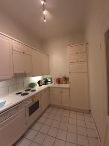 Kuchnia lub aneks kuchenny w obiekcie Appartements Donaublick