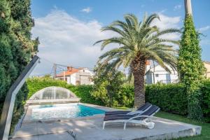 a palm tree and a chair next to a swimming pool at Villa Alberi with pool in Savudrija