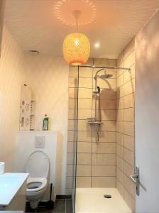 een badkamer met een douche, een toilet en een lamp bij Sauna en bord de rivière in Morez