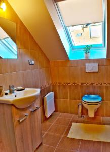 a bathroom with a sink and a toilet with a skylight at Ubytovanie Ahoj v prírode in Mýto pod Ďumbierom