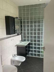 a bathroom with a toilet and a sink at Schöne Eigentumswohnung in sehr ruhiger Lage in Remmingsheim