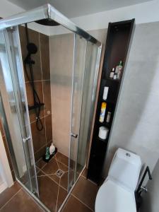a bathroom with a shower and a toilet at Studio White Bears in Akureyri +18 photos