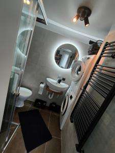 ein Badezimmer mit einem Waschbecken, einem WC und einem Spiegel in der Unterkunft Studio White Bears in Akureyri