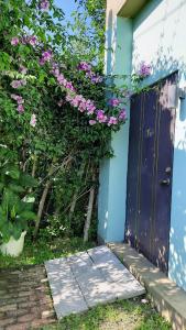 Zahrada ubytování Kelly Field Homestay