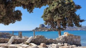 a tree and some rocks and the ocean at Zafira Studios in Kefalos