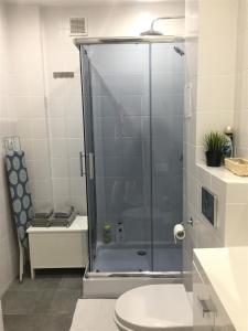 ワルシャワにあるFiesta Apartamentのバスルーム(シャワー、トイレ、洗面台付)