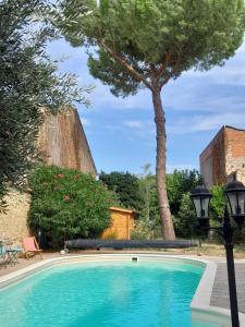 a swimming pool with a tree in the background at La pause sous le pin in Capestang