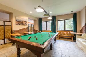 a living room with a pool table in it at Bystre Centrum Wypoczynku in Baligród