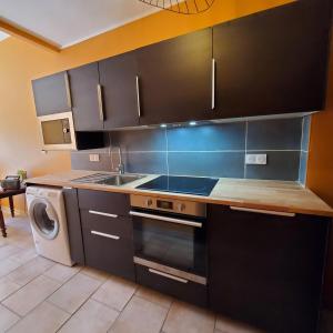uma cozinha com um lavatório e um fogão forno superior em Le vent dans les voiles em Mèze
