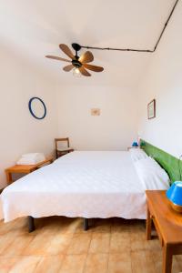 una camera con letto e ventilatore a soffitto di Apartamentos Sa Cornisa a Cala Morell