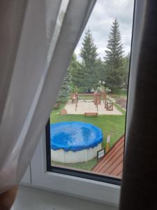 Bazén v ubytování Penzion U Skály nebo v jeho okolí