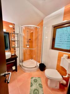 ein Badezimmer mit Dusche, Toilette und Waschbecken in der Unterkunft AMK House - Busteni in Buşteni
