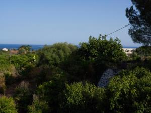 Blick auf einen Hügel mit Bäumen und Sträuchern in der Unterkunft Il palmento di Beppe in Santa Tecla