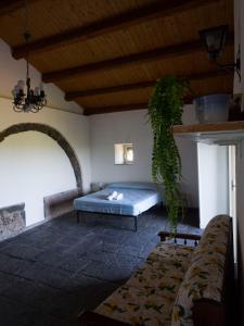ein Zimmer mit einem Bett und einer Pflanze darin in der Unterkunft Il palmento di Beppe in Santa Tecla