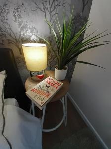 a table with a lamp and a potted plant on it at Hardwick Haven, Sedgefield - Near Hardwick Hall in Stockton-on-Tees