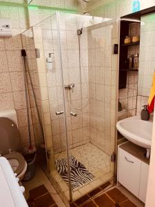 a bathroom with a shower with a zebra print at Veres Pálné in Budapest