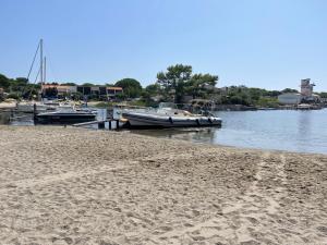 Príroda v okolí vily