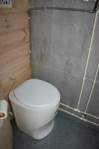 uma casa de banho com um WC branco num quarto em Tretopphytter På Grensen - Elghytta med robåt og gjeddefiske em Halden