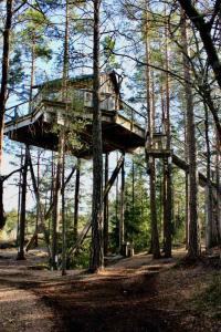 una casa en el árbol en medio de los árboles en Tretopphytter På Grensen - Elghytta med robåt og gjeddefiske en Halden