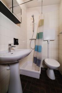 a bathroom with a sink and a toilet and a shower at Fevri apartment in Madonna di Campiglio