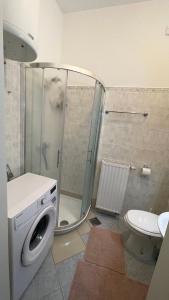 ein Bad mit einer Dusche und einer Waschmaschine in der Unterkunft Apartment Juliana in Rogaška Slatina