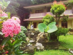 a garden with a pond and flowers in front of a house at Wisma Leuser Sibayak in Bukit Lawang