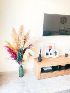 eine Vase mit Pflanze in einem Zimmer mit Spiegel in der Unterkunft Appartement Cosy, vue sur mer in Mohammedia