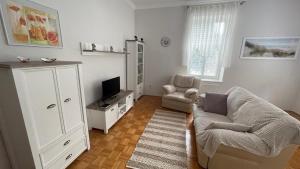 a living room with a couch and a tv at Apartment Juliana in Rogaška Slatina