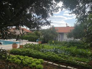 a garden in front of a house with a pool at Villa Mendula Trogir - Luxury villa by the beach - heated pool - lush green garden in Trogir