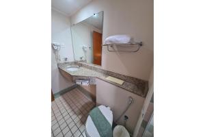 a bathroom with a toilet and a sink and a mirror at Flat Borges Lagoa Ibirapuera c/ garagem UH508 in Sao Paulo
