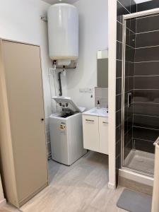 uma casa de banho com um lavatório, um WC e um chuveiro em Charmant appartement 2 pièces em Valence