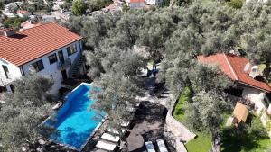 an aerial view of a house and a swimming pool at Apartments Villa St. Bar in Bar