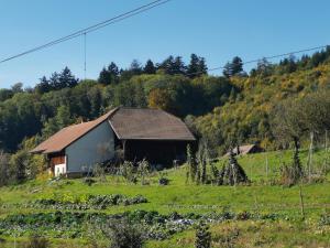 Příroda nedaleko bed and breakfast