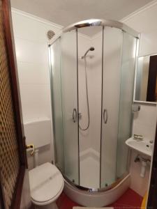 a bathroom with a shower with a toilet and a sink at Guesthouse Stivan (920) in Štivan