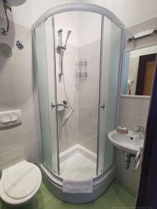 a bathroom with a shower and a toilet and a sink at Guesthouse Stivan (920) in Štivan