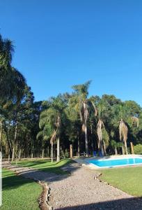 una piscina en un parque con palmeras en Cabana Rústica - Sitio Kayalami, en Tijucas do Sul