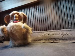 Domácí mazlíčci ubytovaní s hosty v ubytování Levi Secret Igloo Revontuli