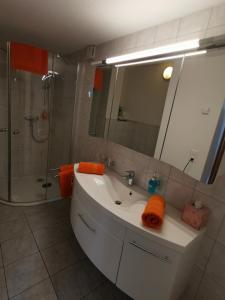 a bathroom with a sink and a shower and a mirror at Jurastei 16 in Wiedlisbach