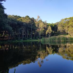 vistas a un lago con árboles en el fondo en Cabana Rústica - Sitio Kayalami, en Tijucas do Sul