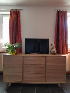 TV en la parte superior de un armario de madera en la sala de estar. en Jurastei 16, en Wiedlisbach