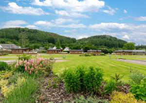 a park with houses and flowers in a field at Llyn Dinas Lodge in Betws-y-coed