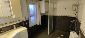 une salle de bain avec douche, lavabo et toilettes dans l'établissement Kirstulan Kartanon päärakennuksen upea päätyhuoneisto, à Hämeenlinna