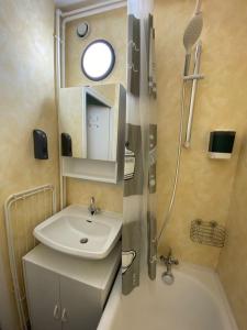a bathroom with a sink and a shower at Studio à 400m du front de neige LES ORRES 1650 in Le Mélézet