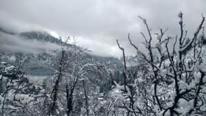 Attic Monkey Hostel - Old Manali pozimi