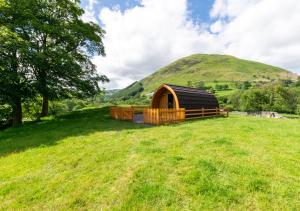 a cabin in a field with a hill in the background at Caban Clyd in Machynlleth