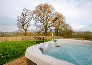 Πισίνα στο ή κοντά στο Nant y Llyn