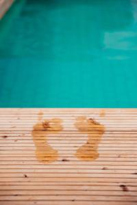 two shadows of two dogs on a wooden deck at Glasson Lakehouse in Athlone