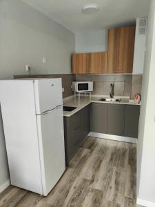 La cuisine est équipée d'un réfrigérateur blanc et d'un évier. dans l'établissement Apartamentos Australia, à Playa del Ingles