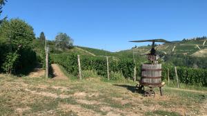 Φωτογραφία από το άλμπουμ του Cadgal - Tenuta Valdivilla σε Santo Stefano Belbo